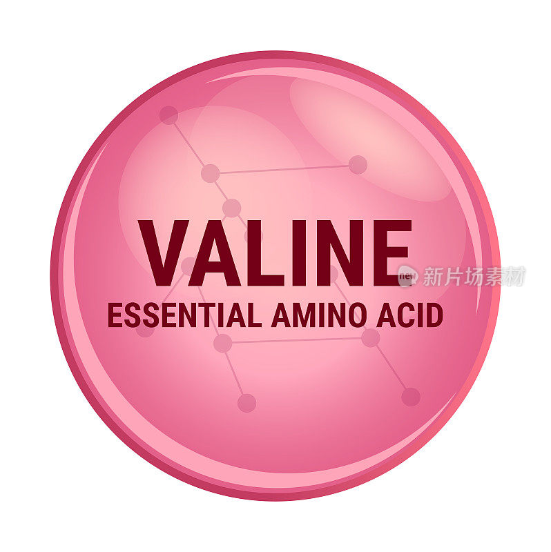 缬氨酸的矢量图标。必需氨基酸，简称Val. V氨基酸，用于蛋白质的生物合成。